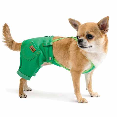 Брюки Pet Fashion Арни XS2 Зеленый (100390)