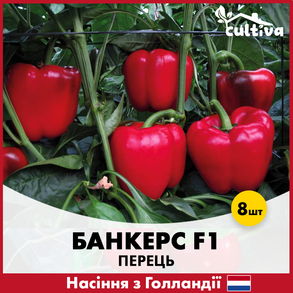 Семена перца Enza Zaden Банкерс F1 8 шт. (424)