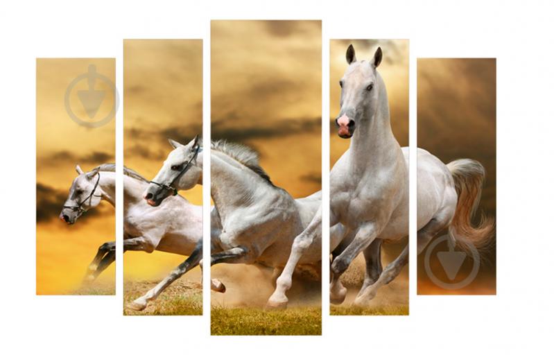 Модульная картина Декор Карпаты 120х80 см Лошади (M5-z181)