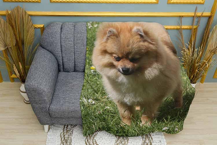 Плед Fluffy Spitz in the field плюш однослойный 150х210 см (113460-1)