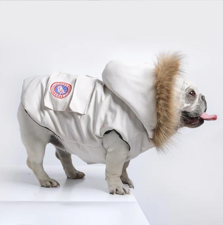 Куртка зимова водонепроникна для собак Chill Winter з капюшоном XL (2030649894)