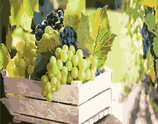 Картина по номерам Strateg Натюрморты Сочный виноград в 40х50 см термопакете (SY6094-mt)