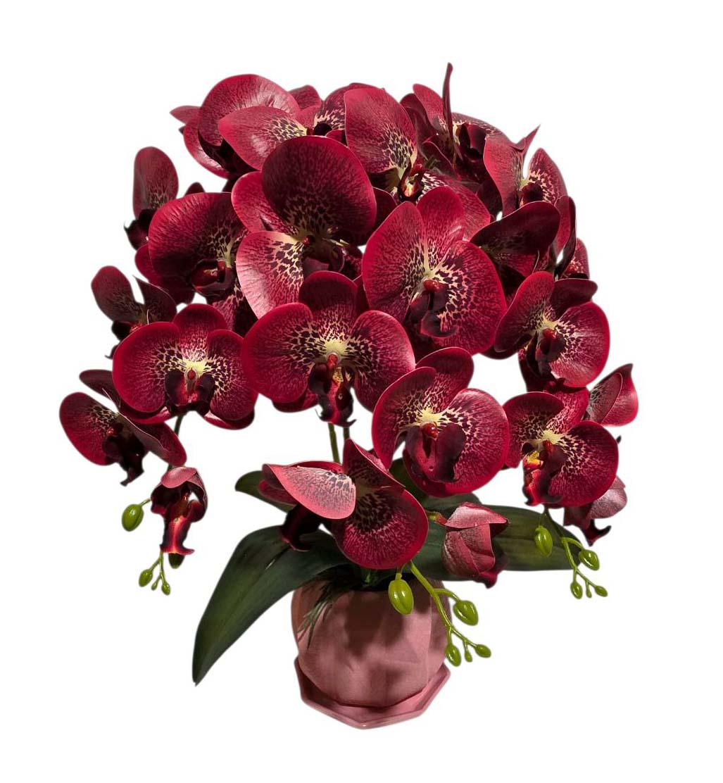 Орхидея искусственная Ravisto 52x32 см Красно-желтый (0515-8)