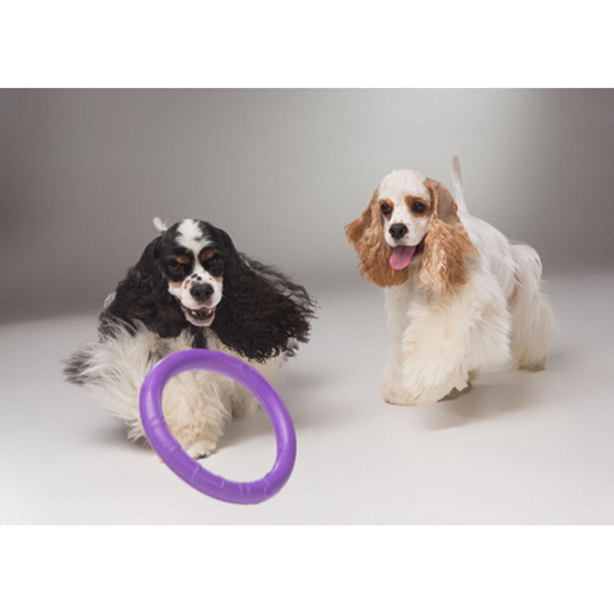 Тренувальний снаряд для собак PULLER Мini D 18 см (25881230) - фото 6 Тренувальний снаряд для собак PULLER Мini D 18 см (25881230) - фото 6