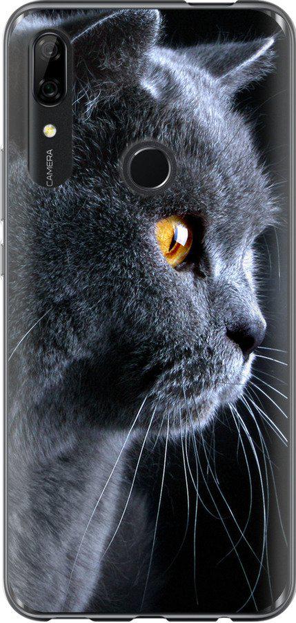 Чехол на Huawei P Smart Z Красивый кот (3038t-1704-42517)