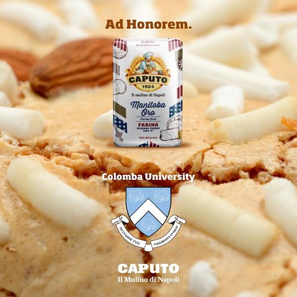 Борошно Caputo Manitoba Oro Манітоба з м'яких сортів пшениці тип 0 1 кг (1663516720) - фото 3