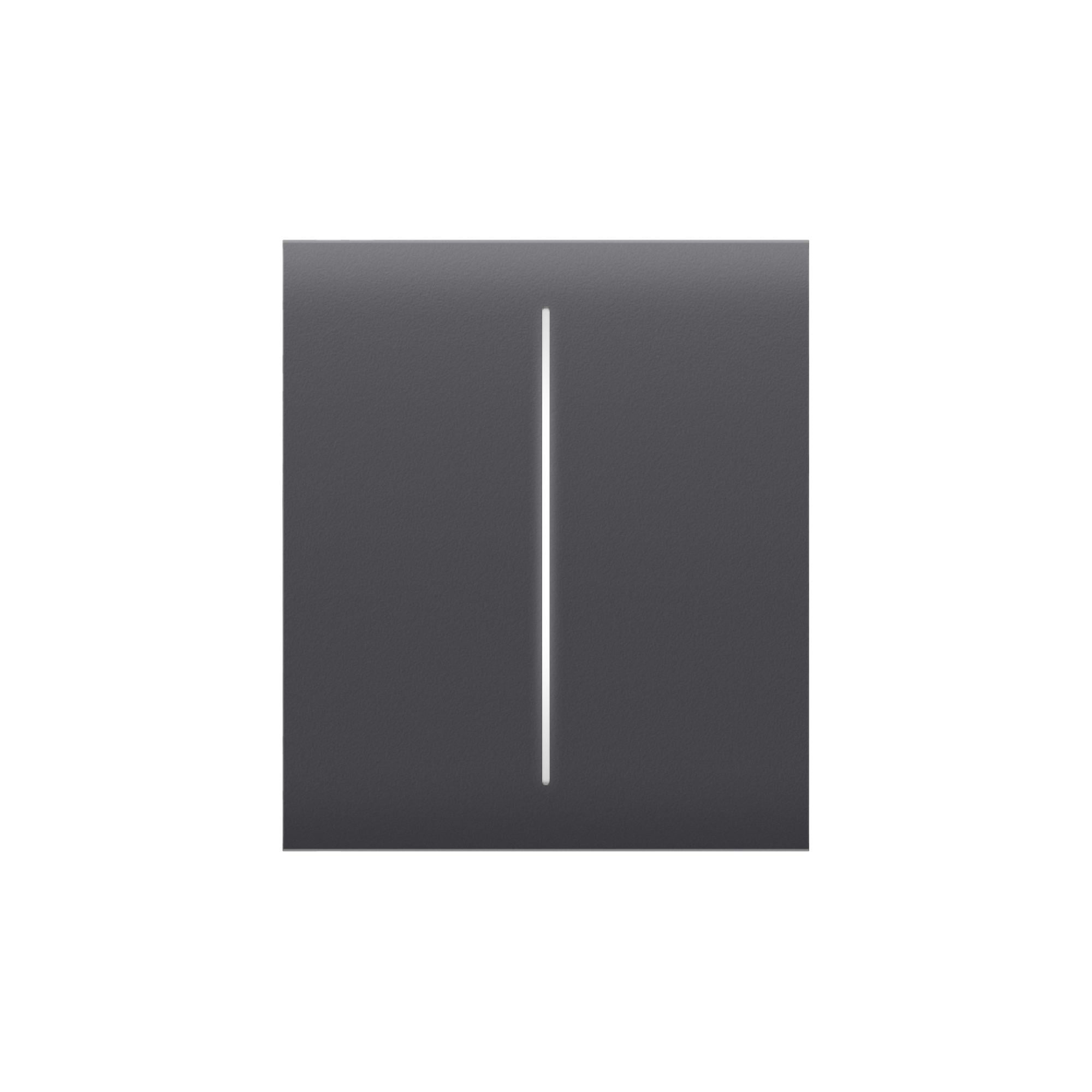 Кнопка центральная для двухклавишного выключателя Ajax CenterButton 2-Gang Graphite (16964)