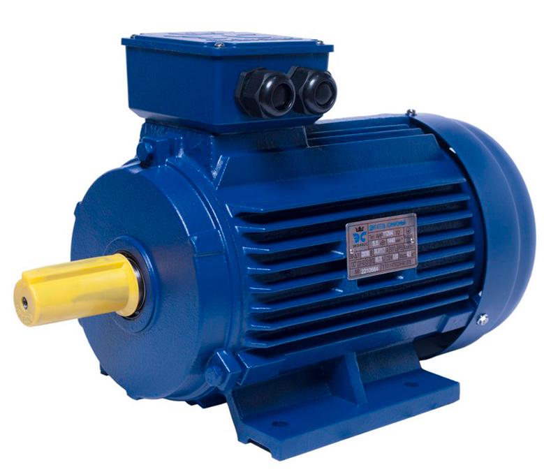 Електродвигун АІР112MB8 ІМ1081 3 кВт 750 об/хв (1043)