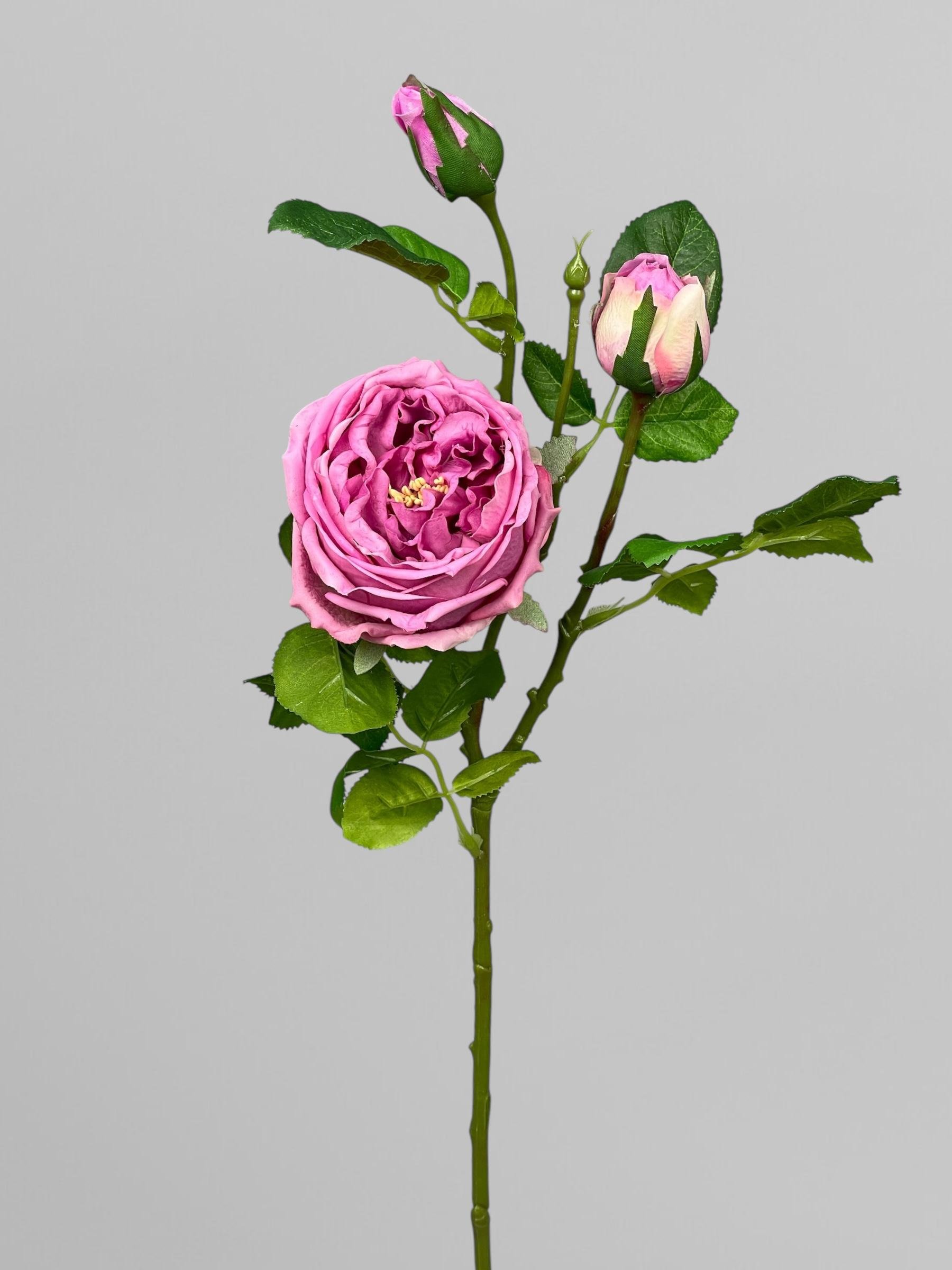 Искусственная роза Английская Дэвида Остина на стебле 72 см Сиреневый (К02037)