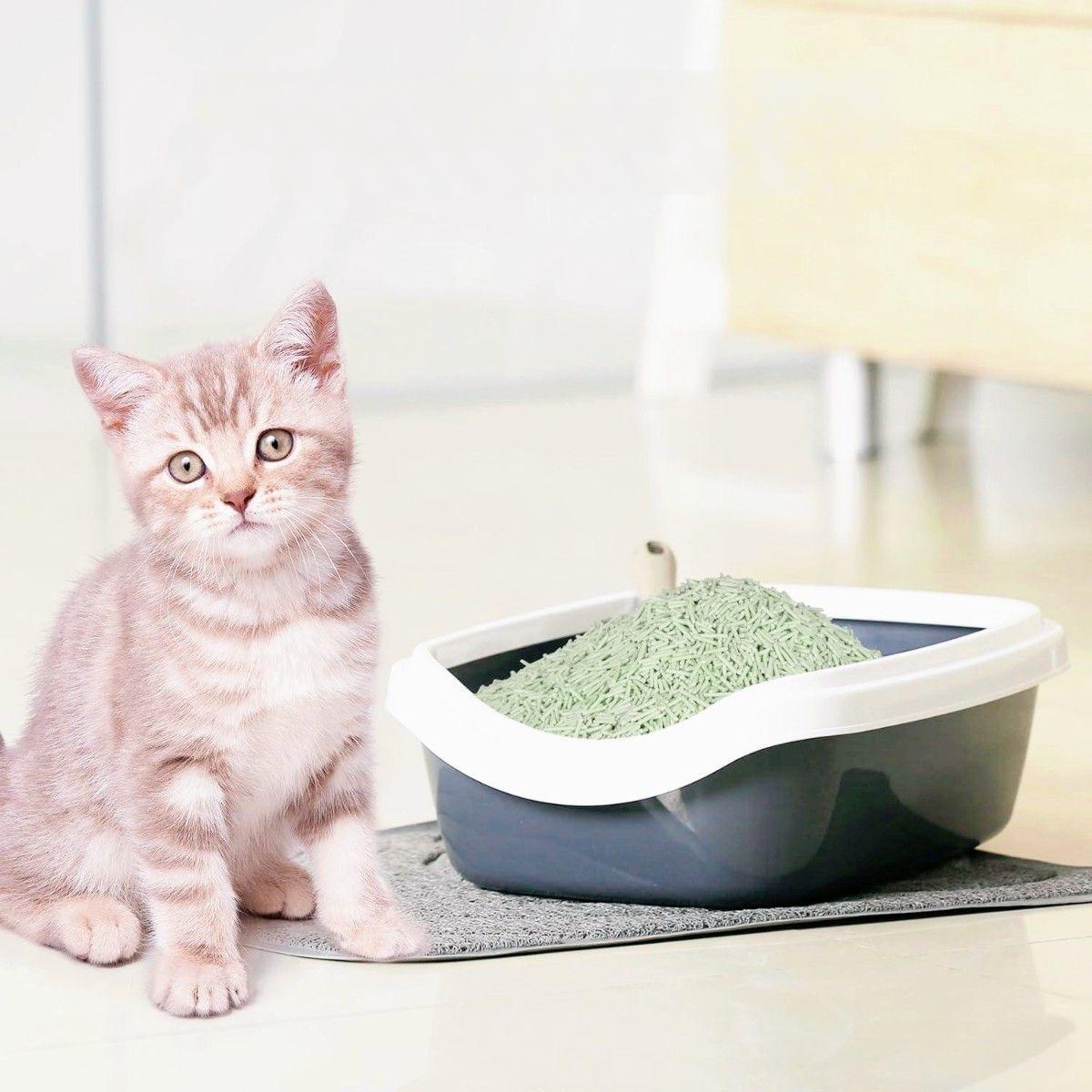 Наповнювач соєвий для котячого туалету Ultrakat Tofu з ароматом винограду 3 мм 6 л 2,5 кг - фото 3 Наповнювач соєвий для котячого туалету Ultrakat Tofu з ароматом винограду 3 мм 6 л 2,5 кг - фото 3