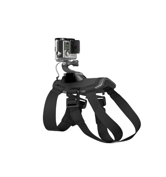 Крепление для собак GoPro Fetch Dog ADOGM-001 (1859455872)