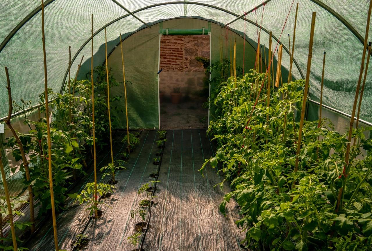 Агротканина від бур'янів GardenLine 1,6Х 50М 70г/м² для полуниці Чорний - фото 2 Агротканина від бур'янів GardenLine 1,6Х 50М 70г/м² для полуниці Чорний - фото 2