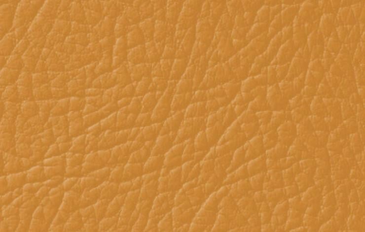 Краска для натуральной и искусственной кожи Leather Expert Colourant 50 г 304 Curry