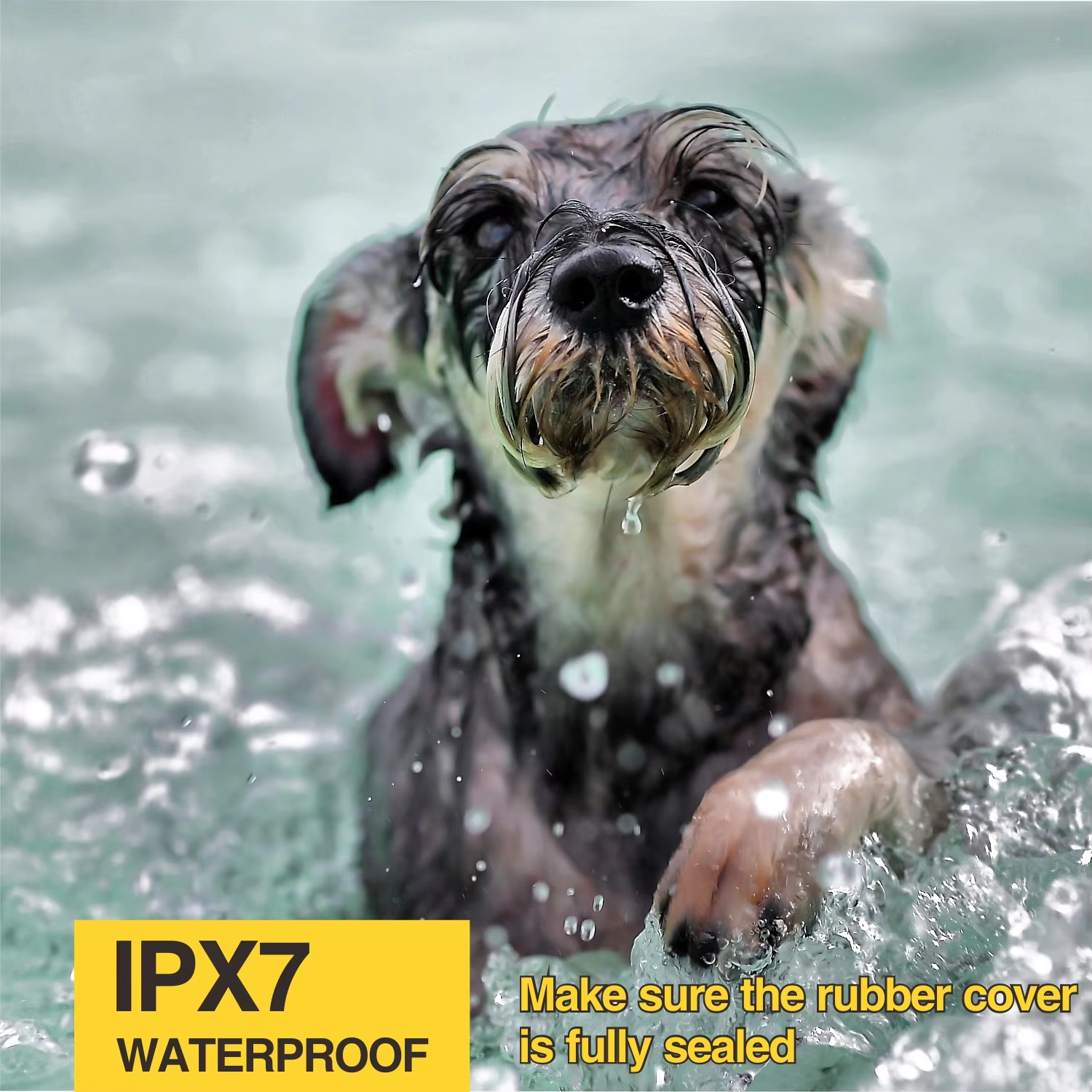 Нашийник електронний дресирувальний DOBE DB60 mini від гавкання для маленьких собак від 2,3 кг (048.2) - фото 3 Нашийник електронний дресирувальний DOBE DB60 mini від гавкання для маленьких собак від 2,3 кг (048.2) - фото 3