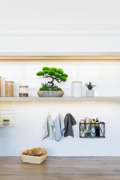 Бонсай стабілізований Самурай 31х32 см - фото 5