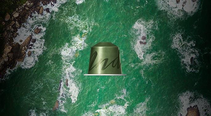 Кава в капсулах Nespresso Master Origin India 40/110 мл - фото 3