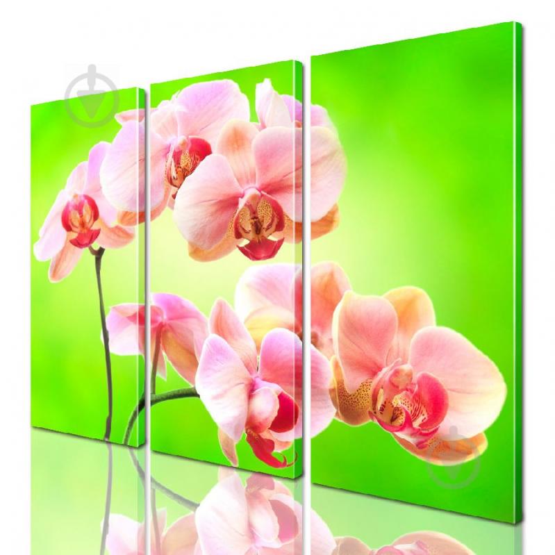 Модульная картина ArtStar цветы Орхидея ADFL0176 размер 150 х 180 см