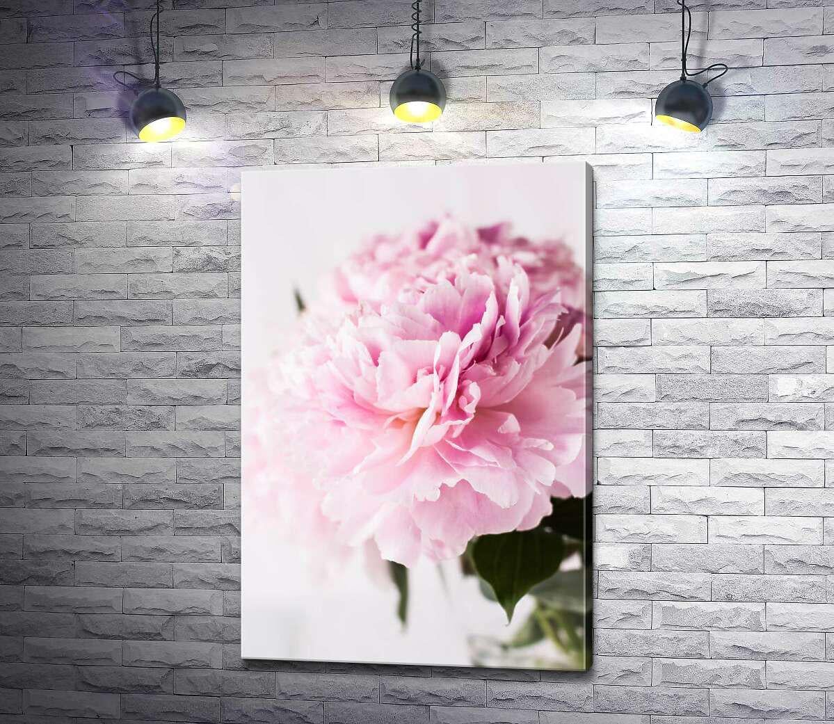 Картина ArtPoster Величественный цветок розового пиона 67x100 см Модуль №1 (002826)