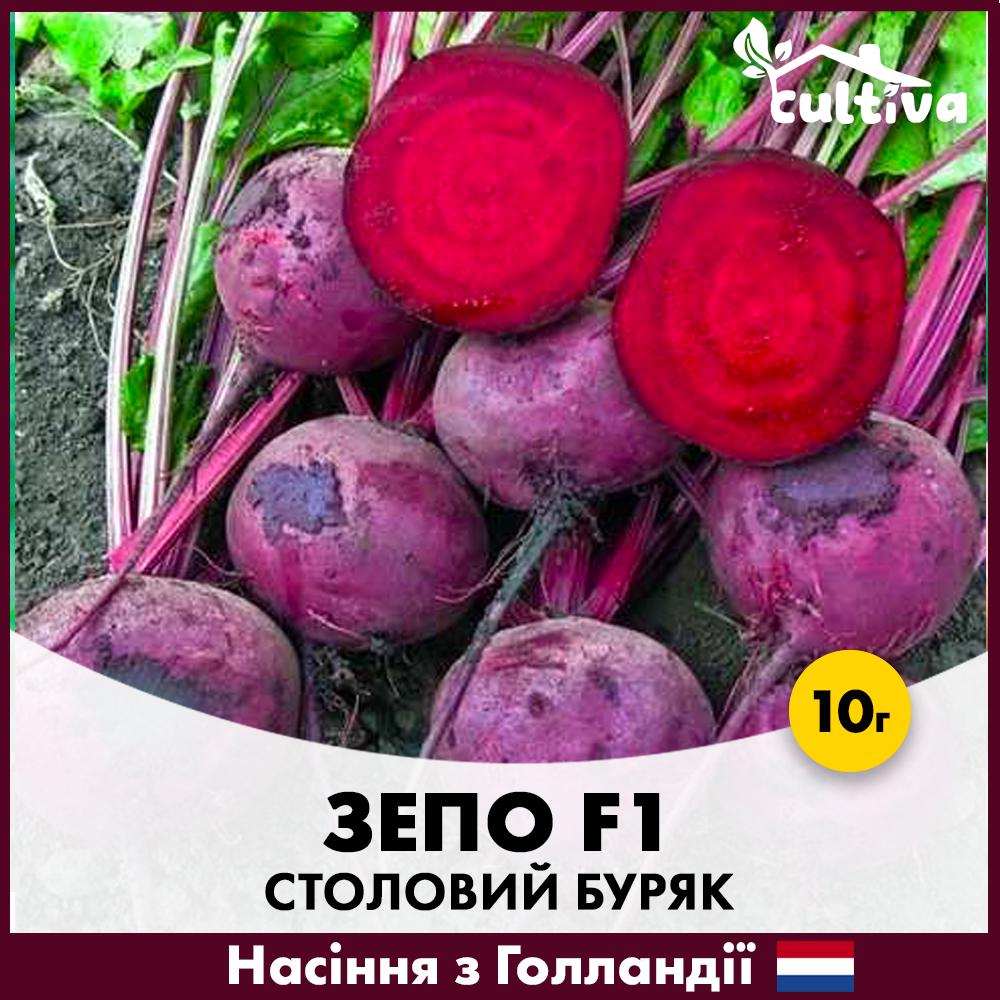 Насіння буряку Rijk Zwaan Зепо F1 10 г (B12-10)