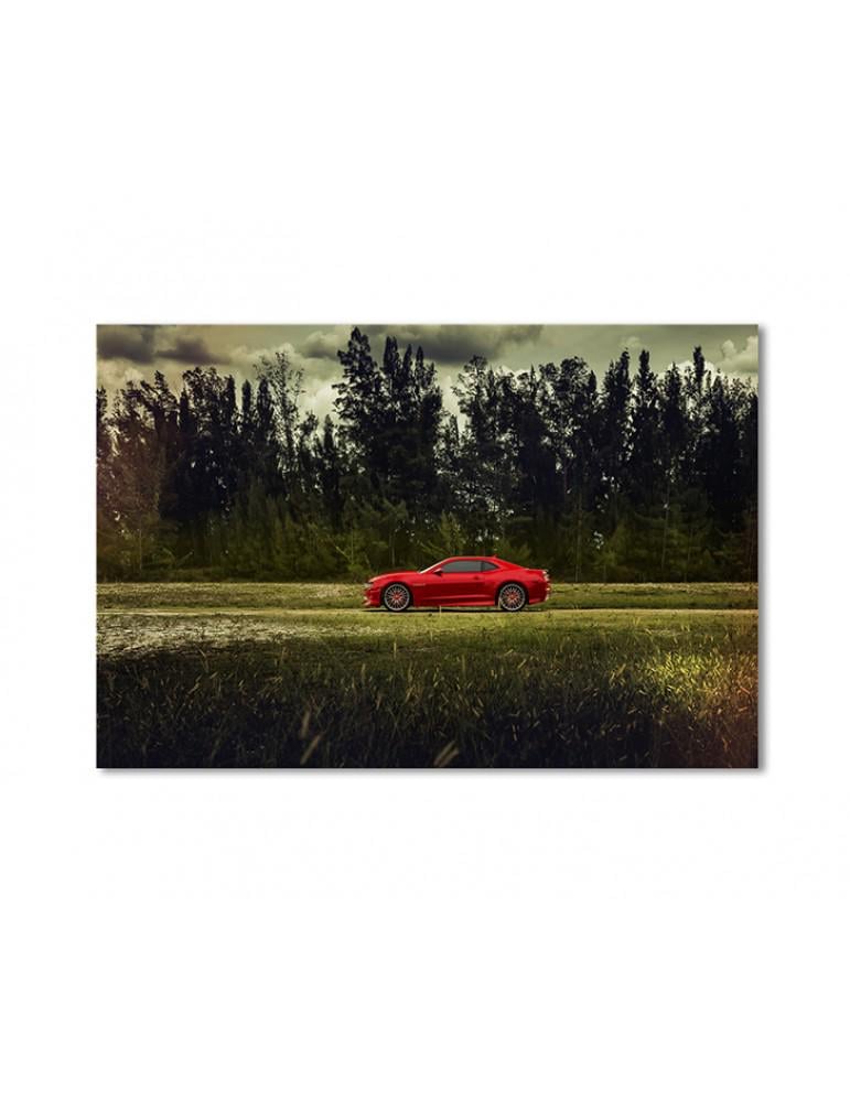 Картина модульная Спортивная машина в поле 1 модуль 70x105 см