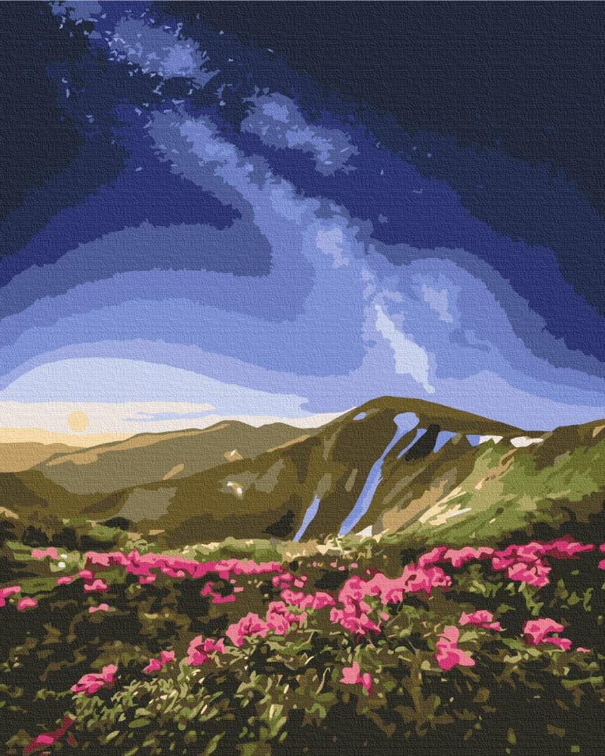 Картина по номерам Brushme Черногора 50x60 см (BS53753L)