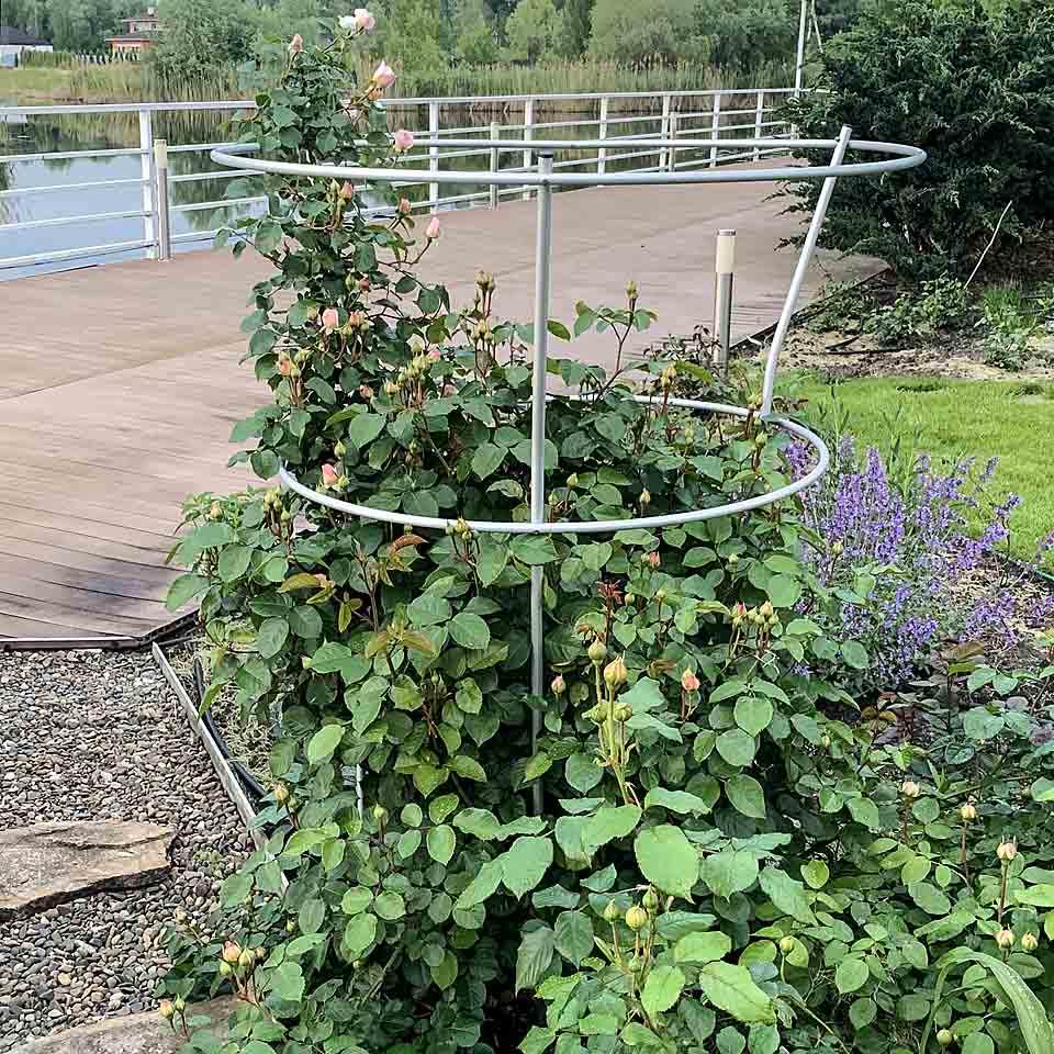 Опора для рослин кільцева на три кільця 1700х800х800 мм (КО-D16/D13-1700*800/600/600) - фото 7 Опора для рослин кільцева на три кільця 1700х800х800 мм (КО-D16/D13-1700*800/600/600) - фото 7