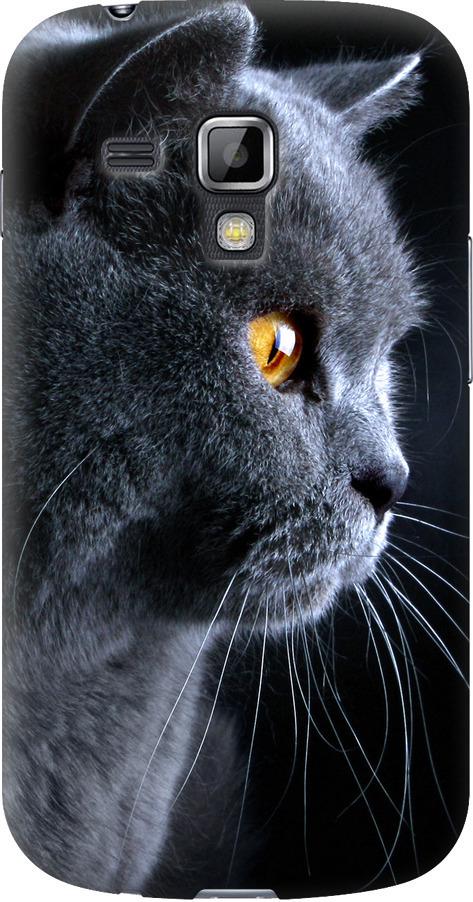 Чехол на Samsung Galaxy S Duos s7562 Красивый кот (3038u-84-42517)
