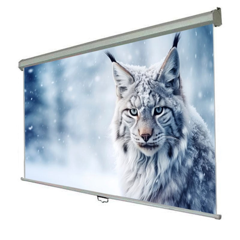 Экран проекционный Walfix SNM-7 настенный потолочный 92" 203х114 см 16:9 (tf541)