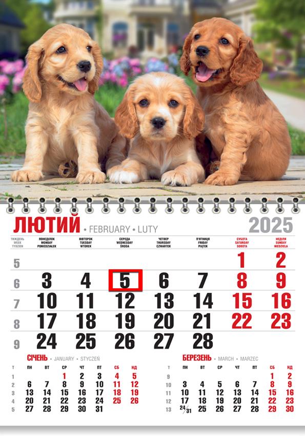 Календар на 2025 р. Економ Кокер спаніель Календар на 2025 р. Економ Кокер спаніель