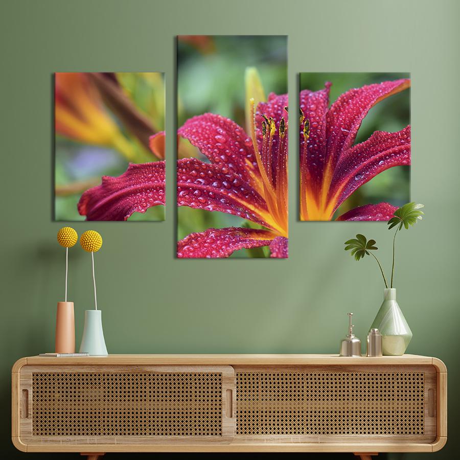 Картина на холсте триптих Роса на бордовой лилии 66x40 см (802-32)