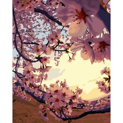 Картина по номерам Strateg Цветы Яблочный цветок на закате 40х50 см в термопакете (VA-3294-mt)