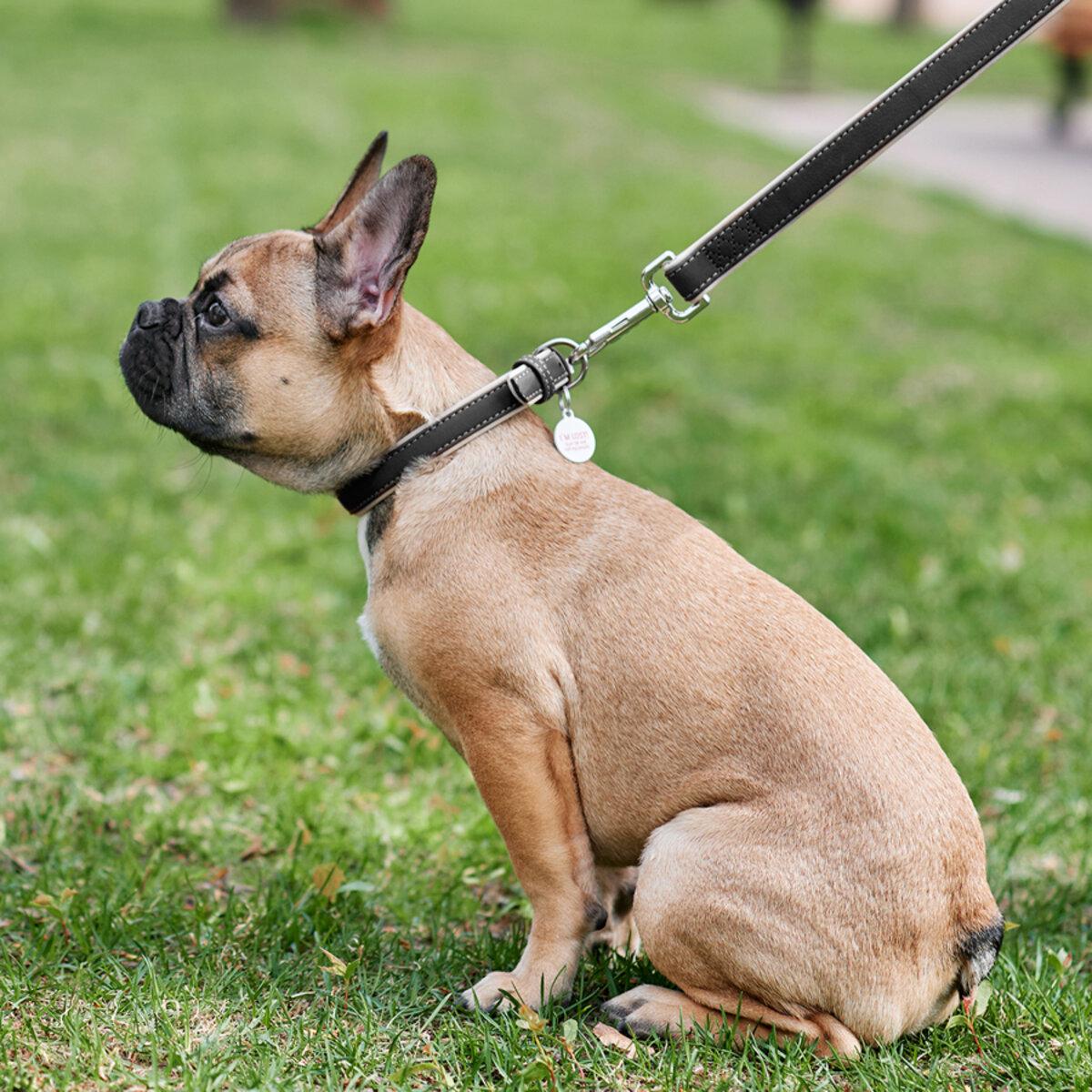 Ошейник для собак кожаный Waudog Soft с QR паспортом 15 мм х 27-36 см Черный (7188 Col)