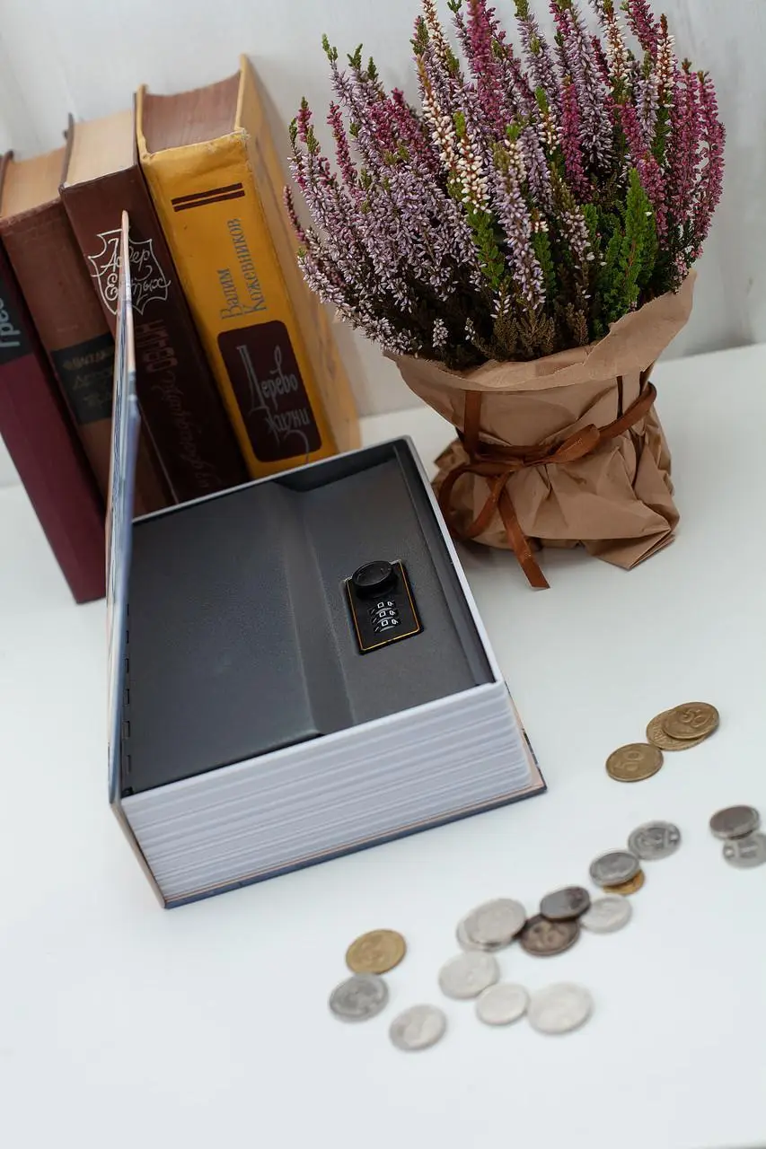 Книга сейф Париж на кодовом замке для денег 24 см (28177746) - фото 3