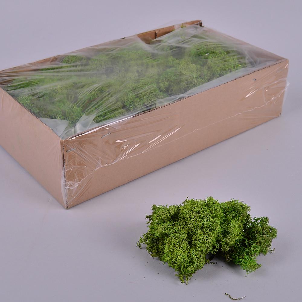 Мох стабилизированный 500 г Зеленый (3493-2)