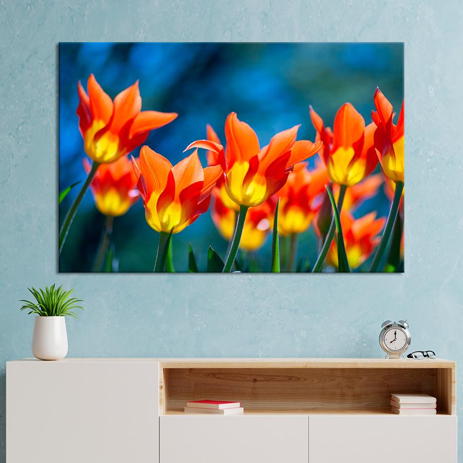 Картина цветы и растения Огненные тюльпаны 51x34 см (A1065-1)