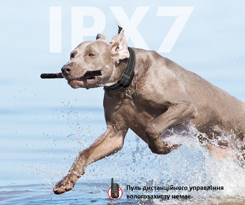 Ошейник для дрессировки собак DTC А30 для тренировки с пультом управления/водонепроницаемый Black - фото 7 Ошейник для дрессировки собак DTC А30 для тренировки с пультом управления/водонепроницаемый Black - фото 7