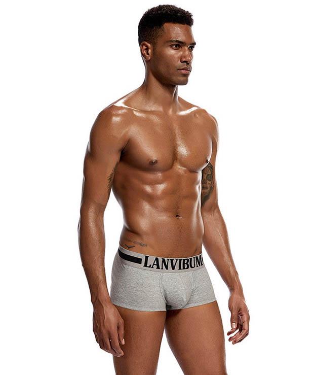 Трусы Lanvibum M Серый (4514)