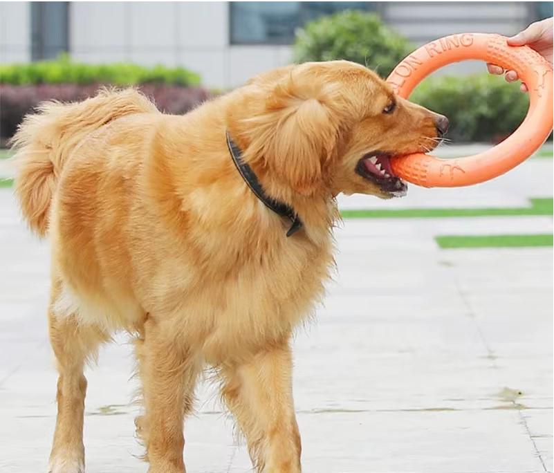 Игрушка для собак кольцо литое резиновое - фото 3 Игрушка для собак кольцо литое резиновое - фото 3