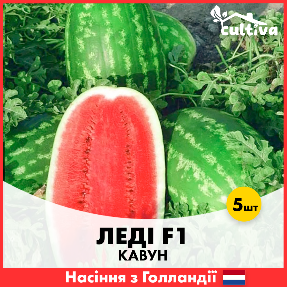 Семена арбуза Nunhems Леди F1 5 шт. (00376)