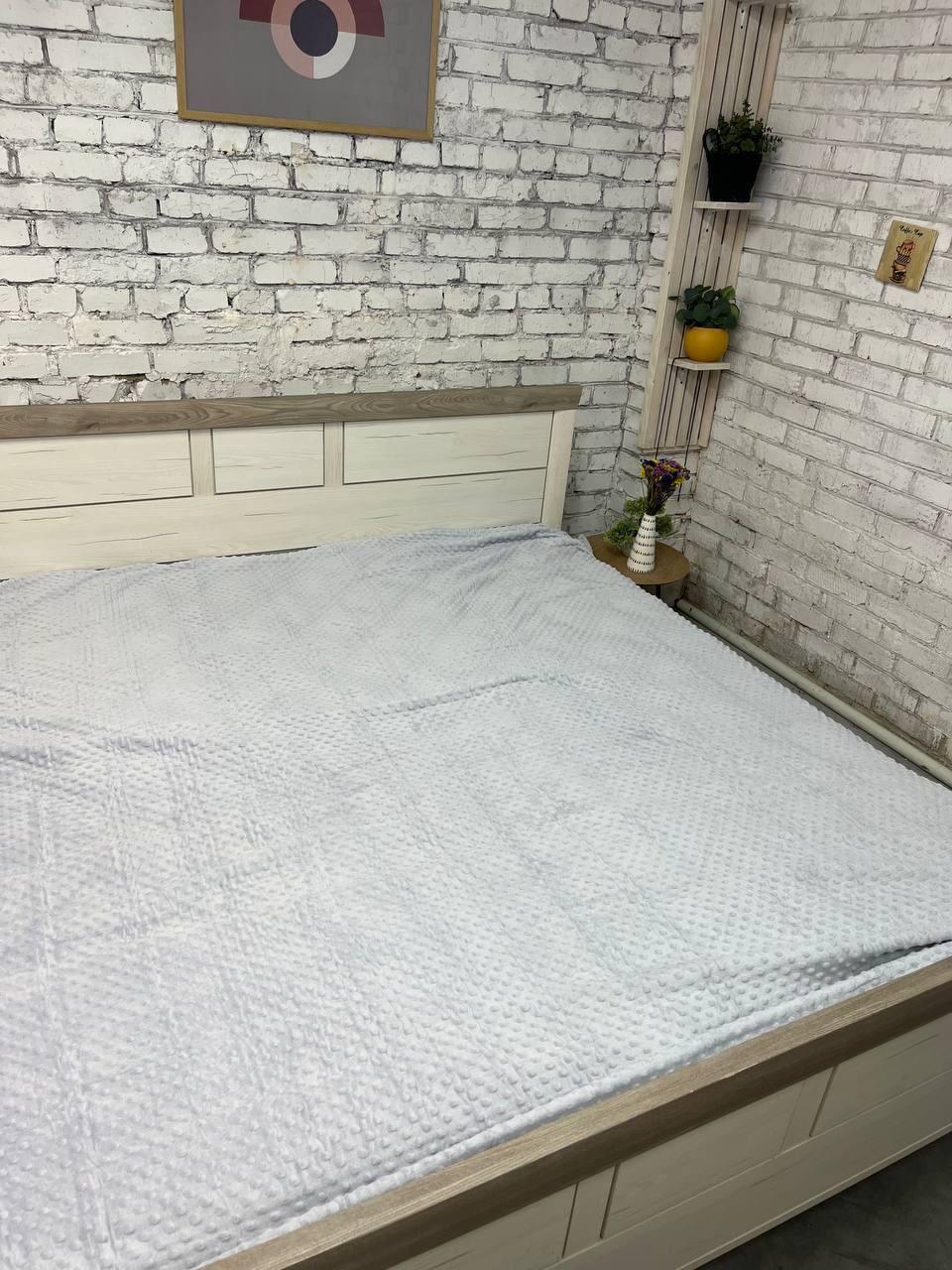 Плед флісовий 200х215 см Сірий (Д-mur-flis-pled-005-03) - фото 1 Плед флісовий 200х215 см Сірий (Д-mur-flis-pled-005-03) - фото 1