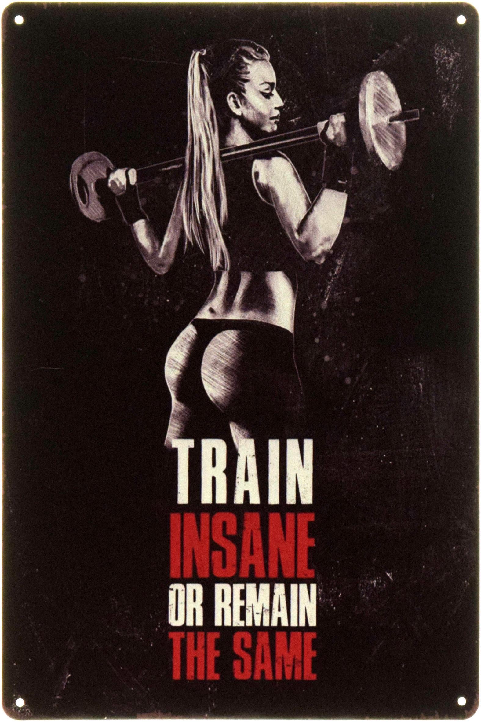 Табличка металлическая "Train Insane Or Remain The Same" 20x30 см (ms-104491)