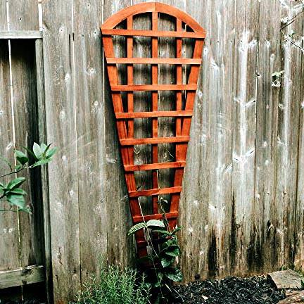 Опора для плетущихся из дерева Орабан Савоярди (ОДВ-003415)