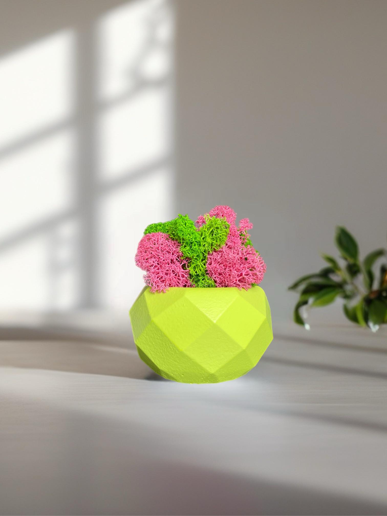 Кашпо с мхом гипсовое (32645137)