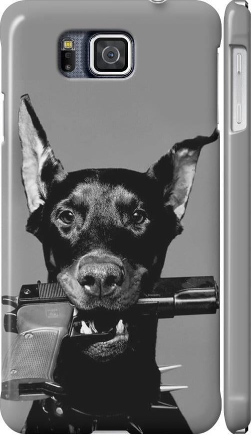 Чехол на Samsung Galaxy Alpha G850F Доберман (2745c-65-42517)