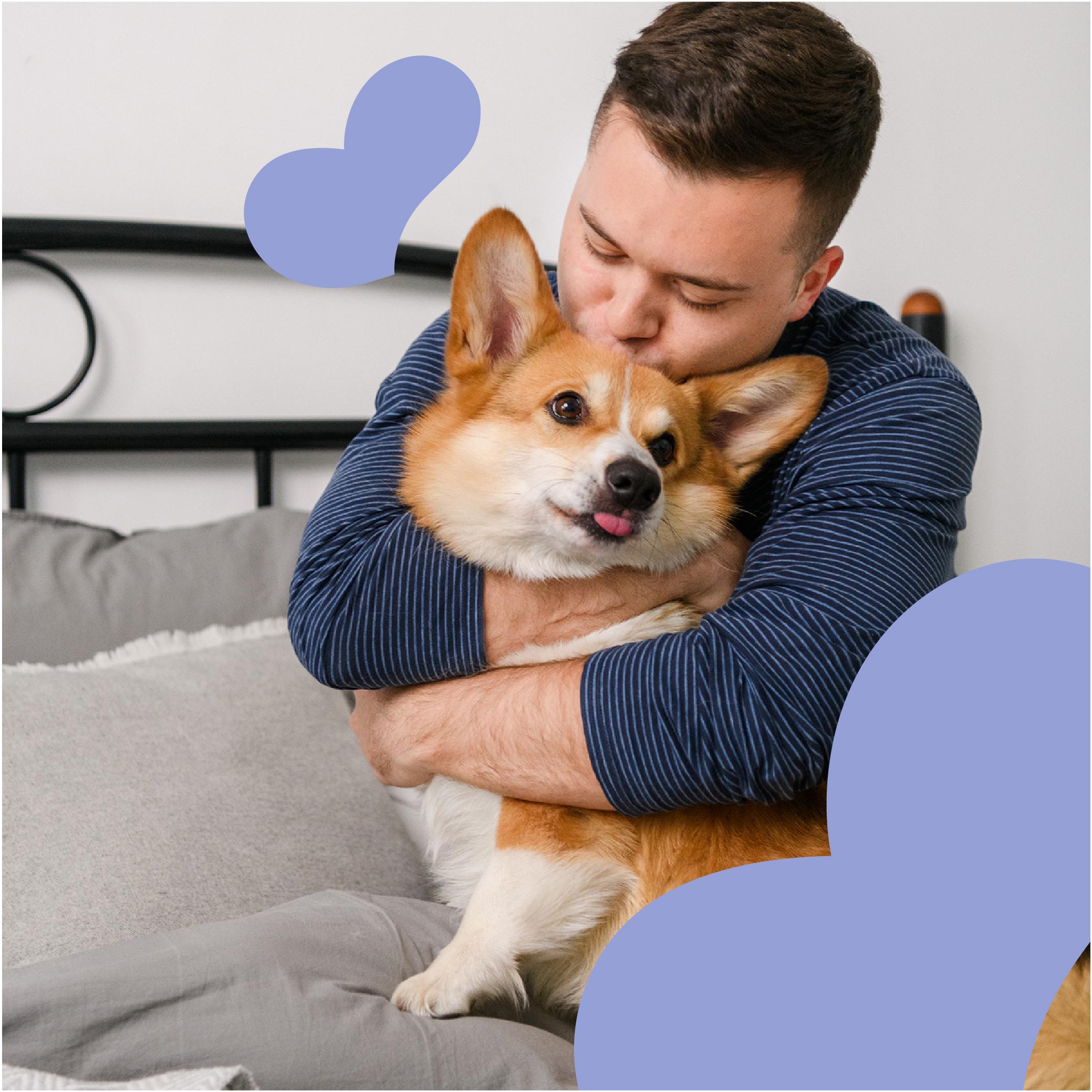 Лакомство для собак Mavsy freeze dried TURKEY SOUFFLE WITH BLUEBERRIES суфле из индейки с черникой от 3-х месяцев 50 г (24624824) - фото 6 Лакомство для собак Mavsy freeze dried TURKEY SOUFFLE WITH BLUEBERRIES суфле из индейки с черникой от 3-х месяцев 50 г (24624824) - фото 6