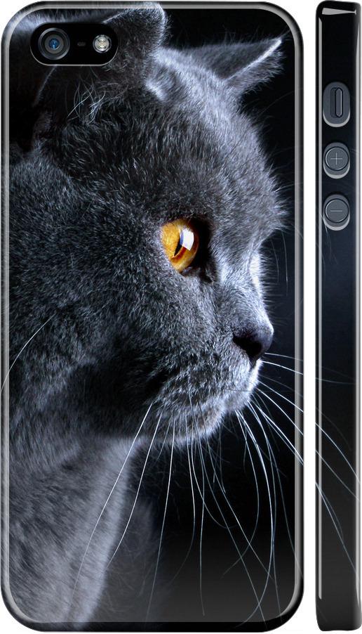 Чехол на iPhone 5s Красивый кот (3038m-21-42517) Чехол на iPhone 5s Красивый кот (3038m-21-42517)