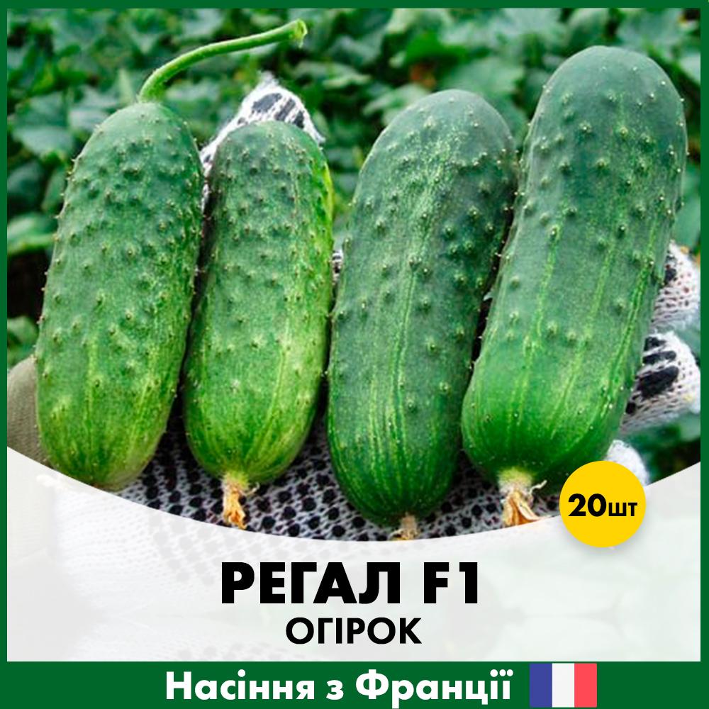 Семена огурца Clause Регал F1 20 шт. (R30320)