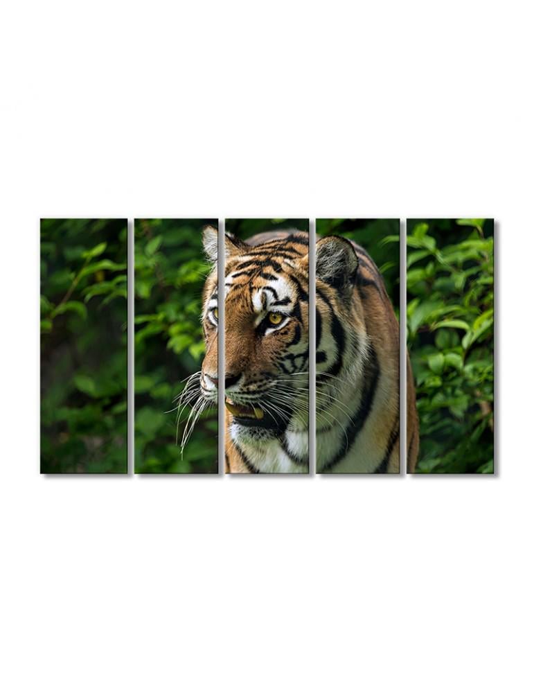 Картина модульная Ревущий тигр 5 модулей 80x120 см
