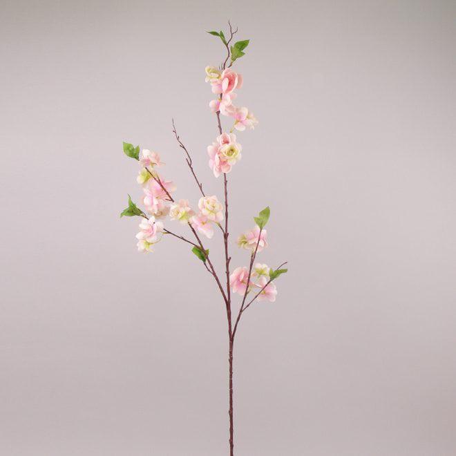 Гілочка Flora Яблуня (72567)