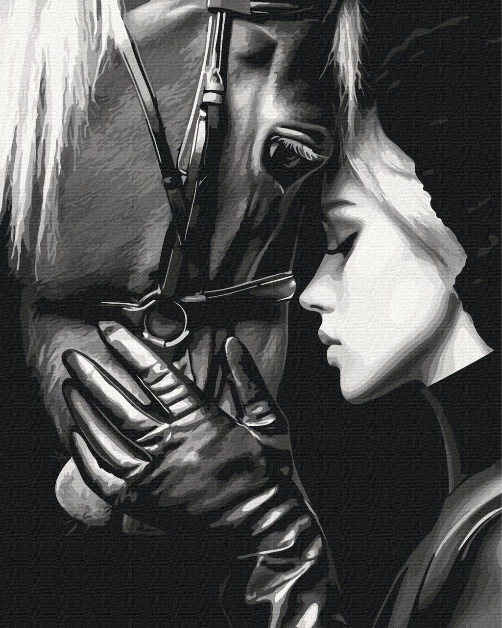 Картини за номерами Brushme "Гармонія душ" 40x50 см (BS54426)